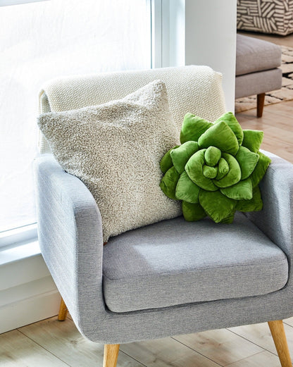 Lil' Pop Succulent® - Olive Green - mosswell.us