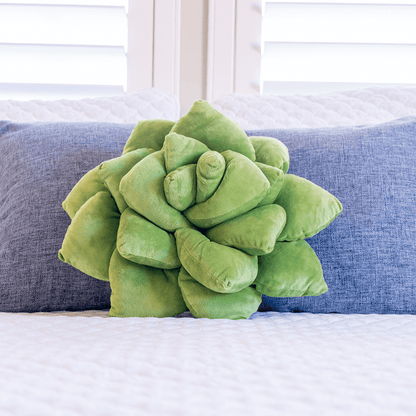 Lil' Pop Succulent® - Olive Green - mosswell.us