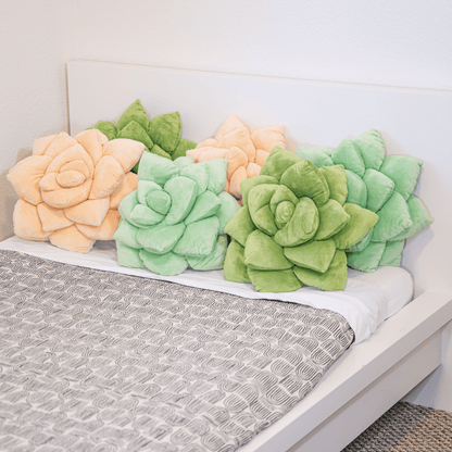 Lil' Pop Succulent® - Olive Green - mosswell.us