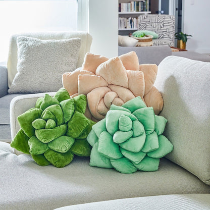 Lil' Pop Succulent® - Sage Green - mosswell.us