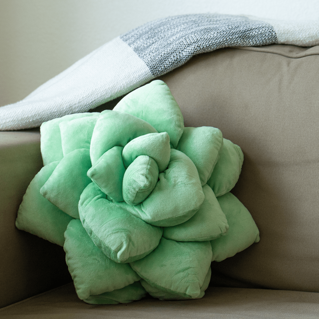 Lil' Pop Succulent® - Sage Green - mosswell.us