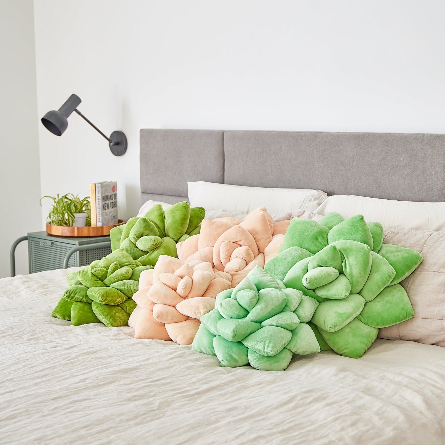 Lil' Pop Succulent® - Sage Green - mosswell.us