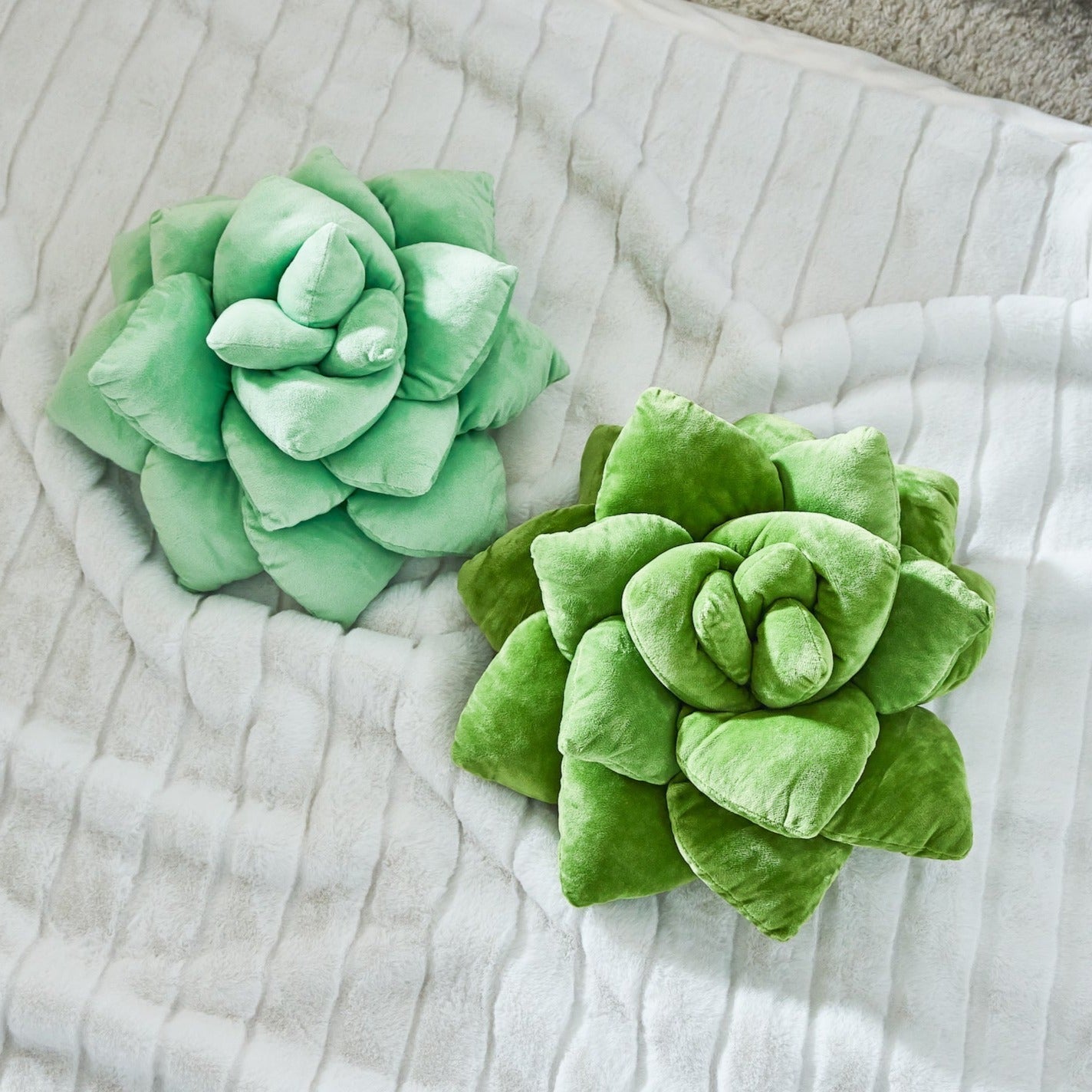 Lil' Pop Succulent® - Sage Green - mosswell.us