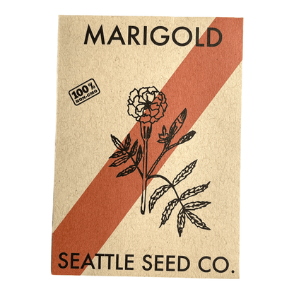 Marigold - Crackerjack - mosswell.us
