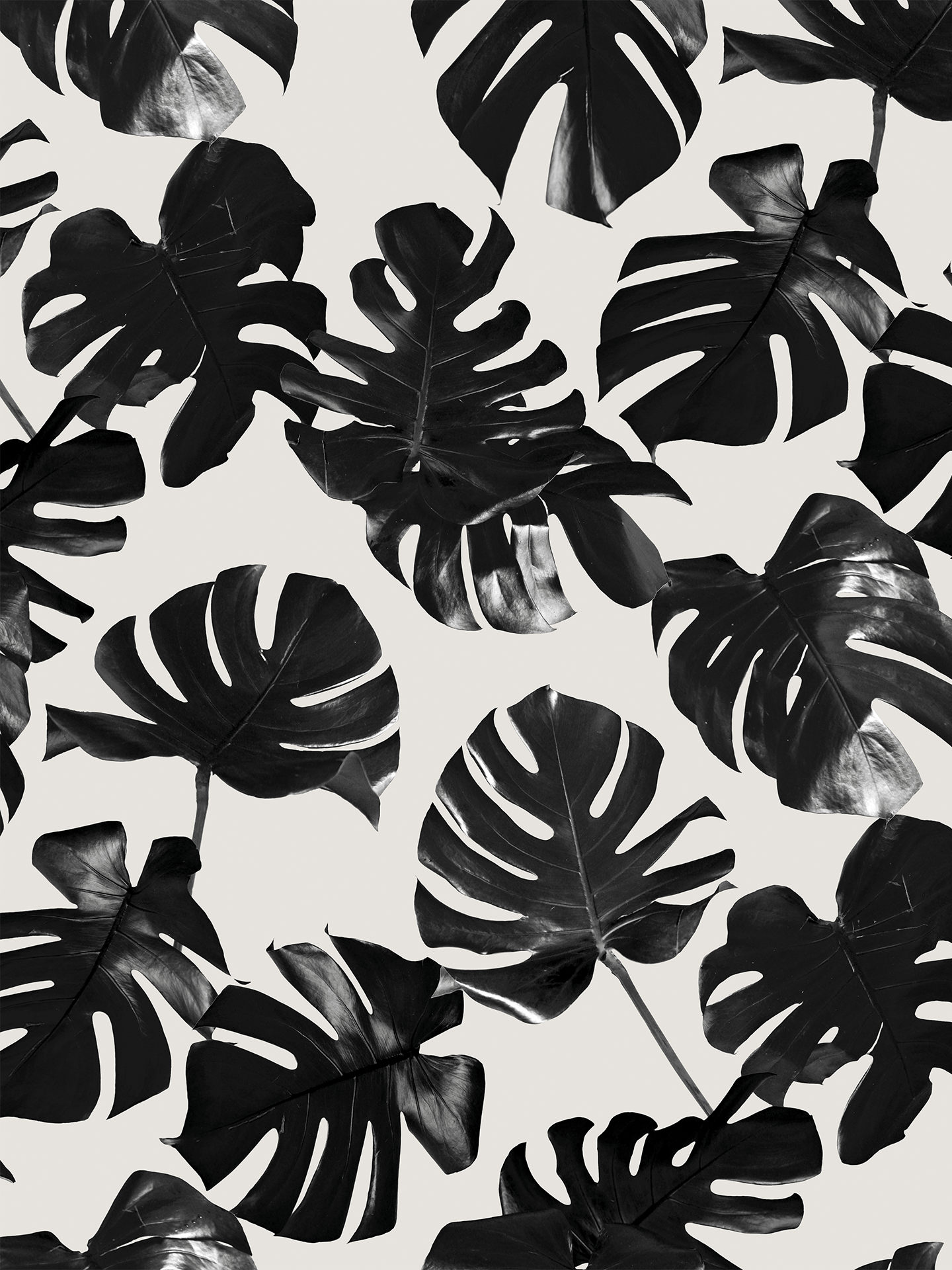 Monstera Leaf Wallpaper, black & off - white - mosswell.us