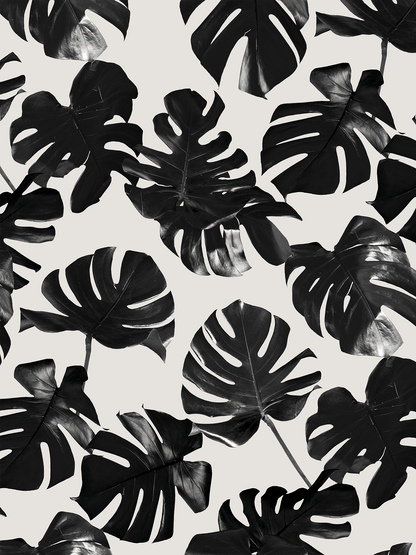 Monstera Leaf Wallpaper, black & off - white - mosswell.us