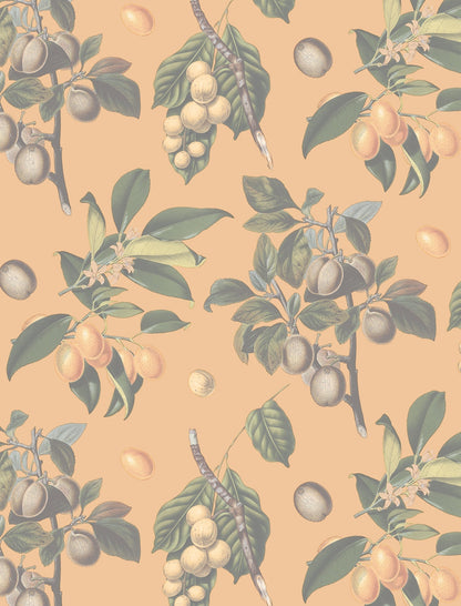 Muted Vintage Orchard Wallpaper, orange - mosswell.us