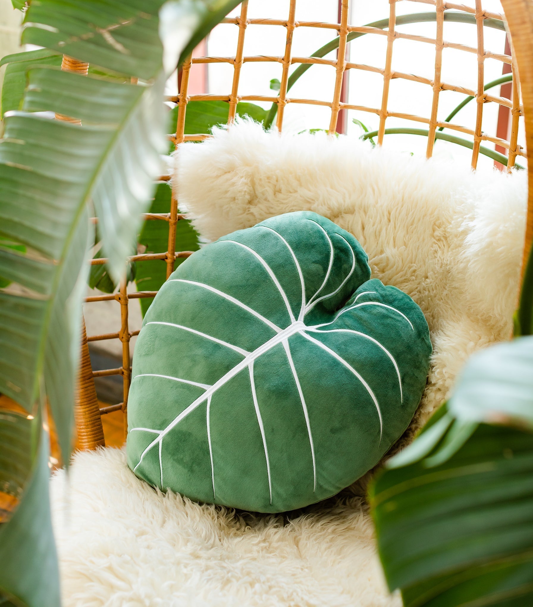 Philodendron Gloriosum Leaf Pillow - Moody Green - mosswell.us