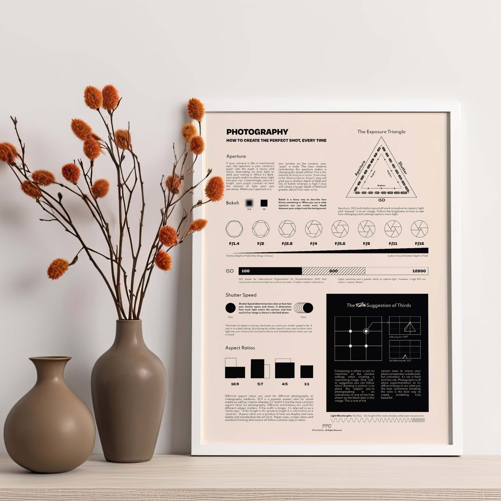 Photography Chart Print - mosswell.us
