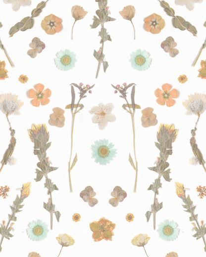 Pressed Fresh Version 02 Wallpaper, peach and mint - mosswell.us