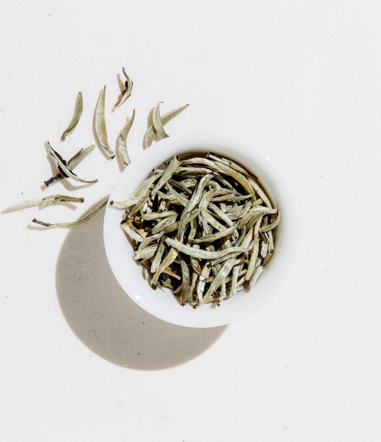 Silver Needle Tea - mosswell.us