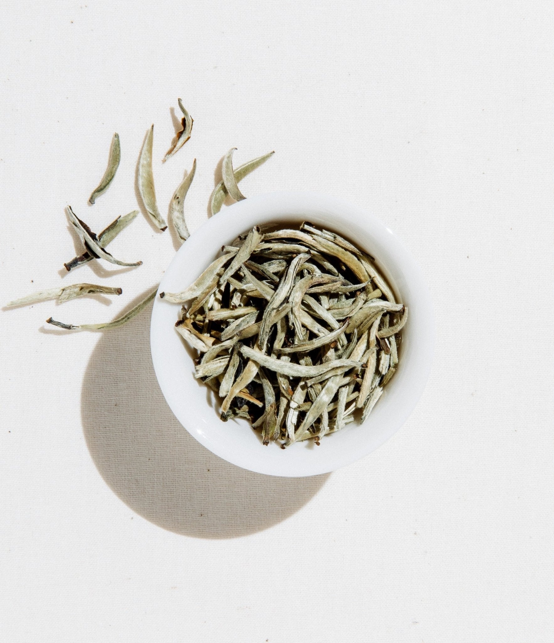 Silver Needle Tea - mosswell.us