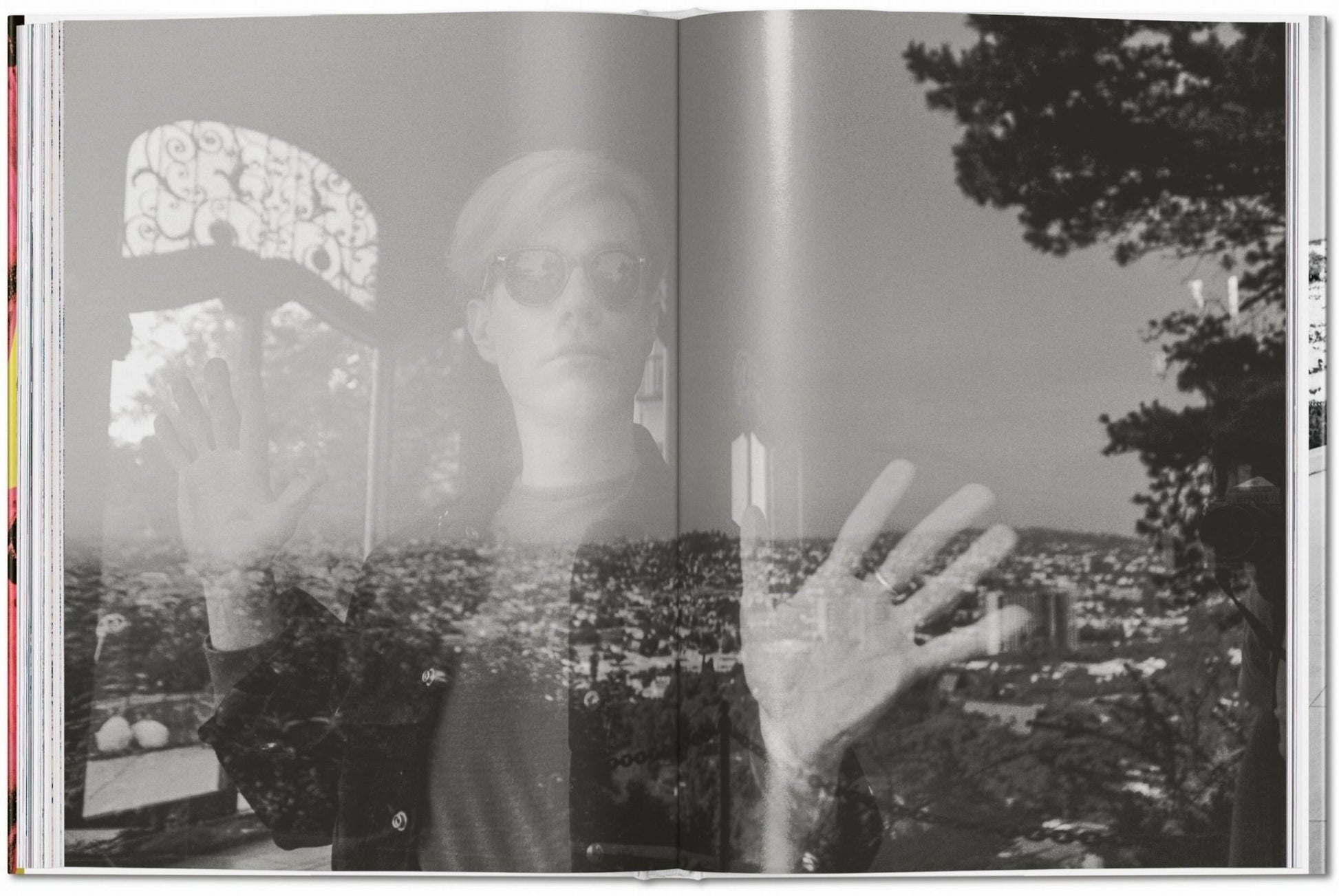 Steve Schapiro. Andy Warhol and Friends (English) - mosswell.us