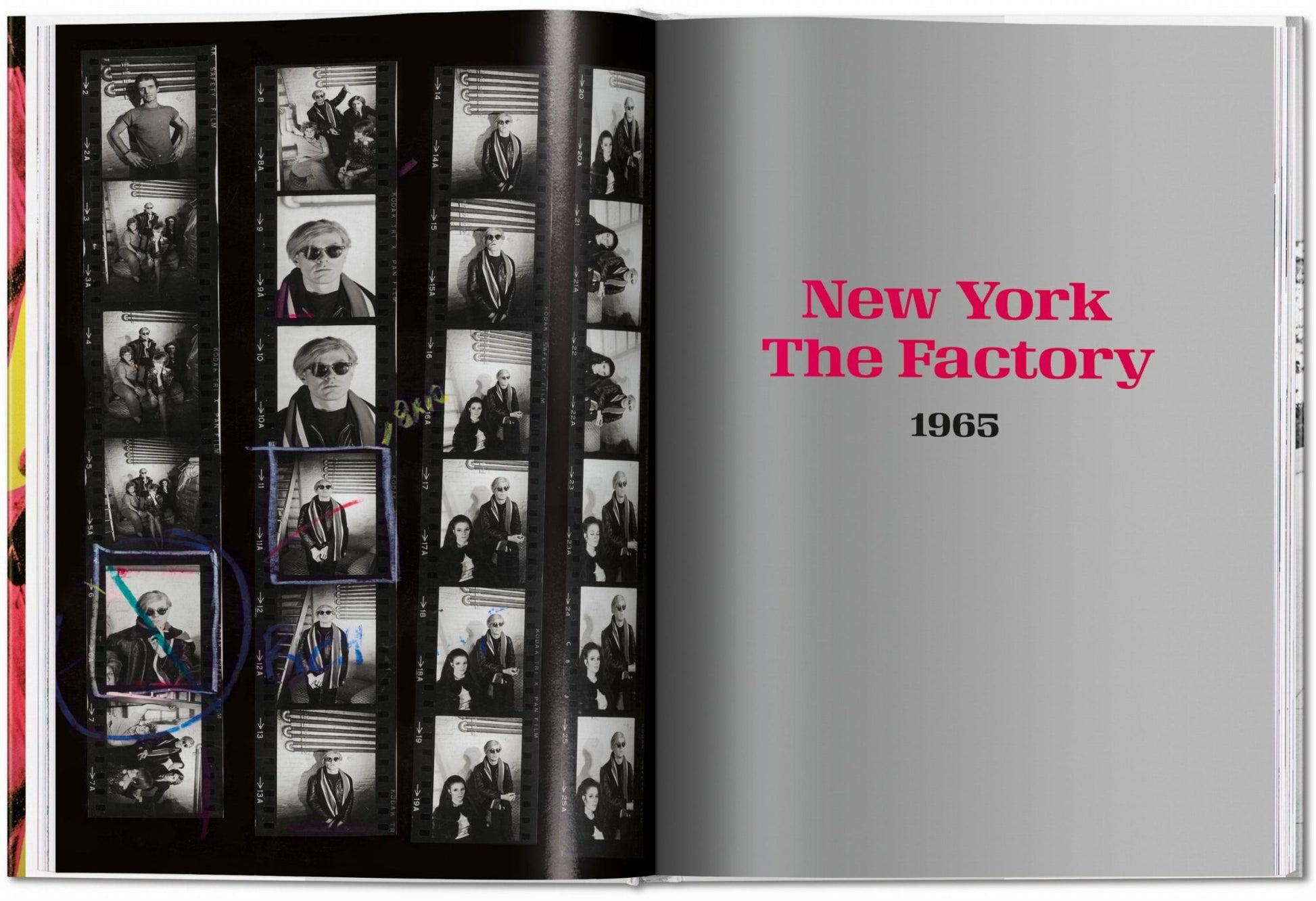 Steve Schapiro. Andy Warhol and Friends (English) - mosswell.us