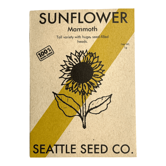 Sunflower - Mammoth Russian - mosswell.us