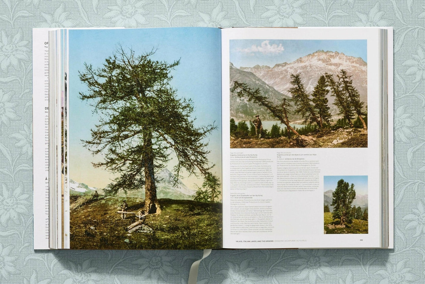 The Alps 1900. A Portrait in Color (German, French, English) - mosswell.us