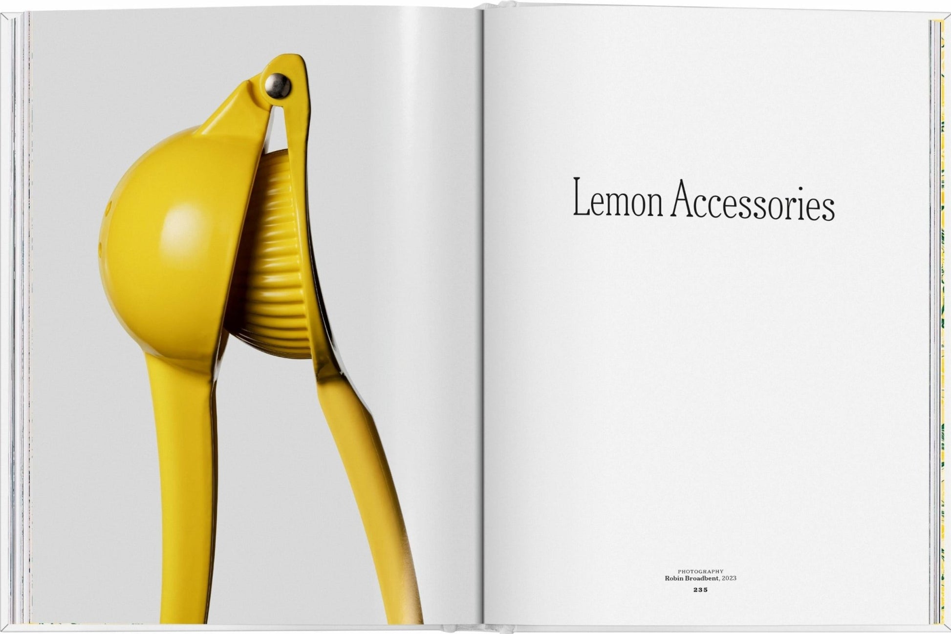 The Gourmand's Lemon. A Collection of Stories and Recipes (English) - mosswell.us