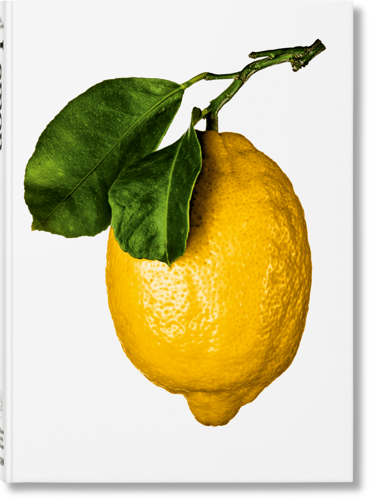 The Gourmand's Lemon. A Collection of Stories and Recipes (English) - mosswell.us