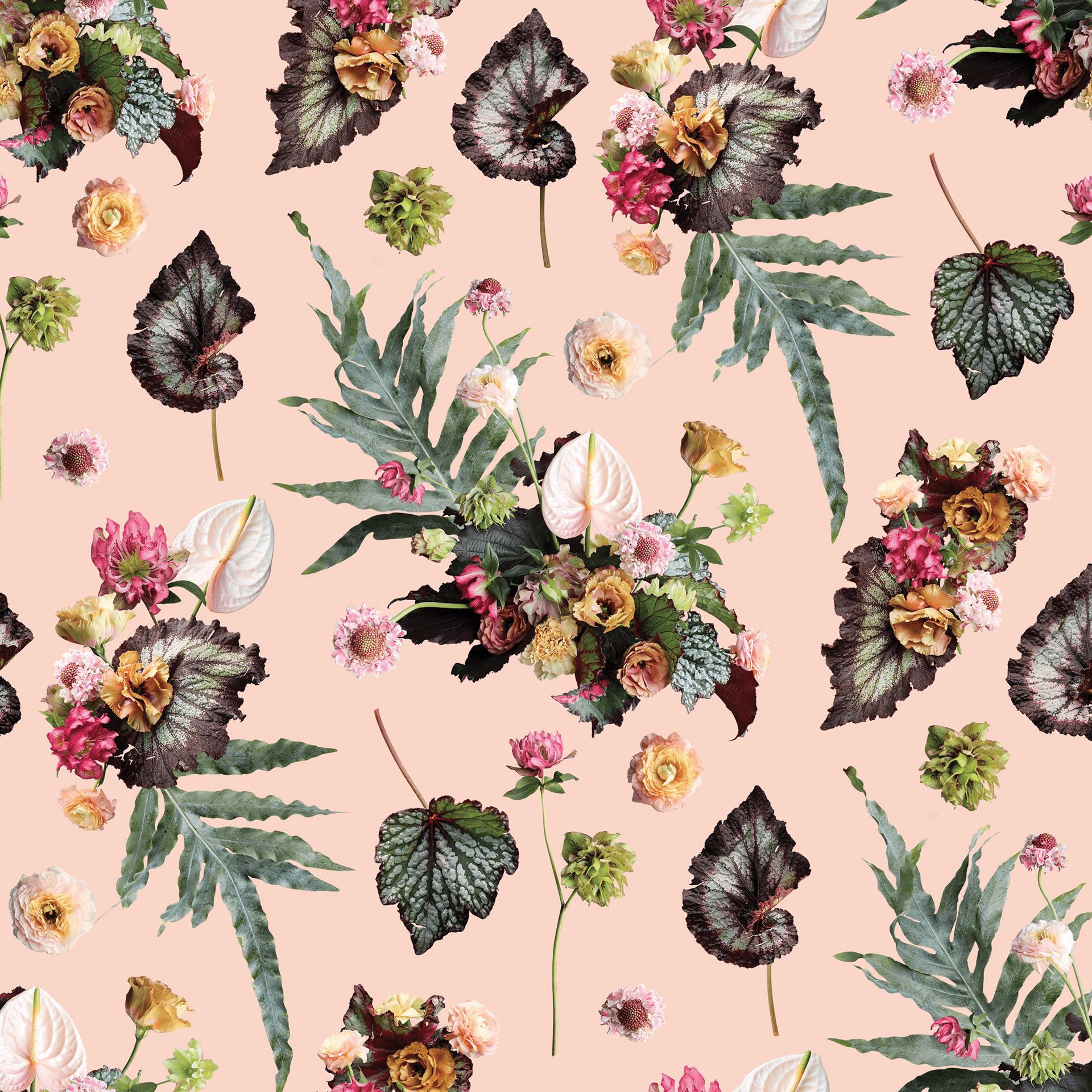 The Little Branch Wallpaper, blush - mosswell.us