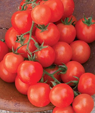 Tomato - Sweetie - mosswell.us