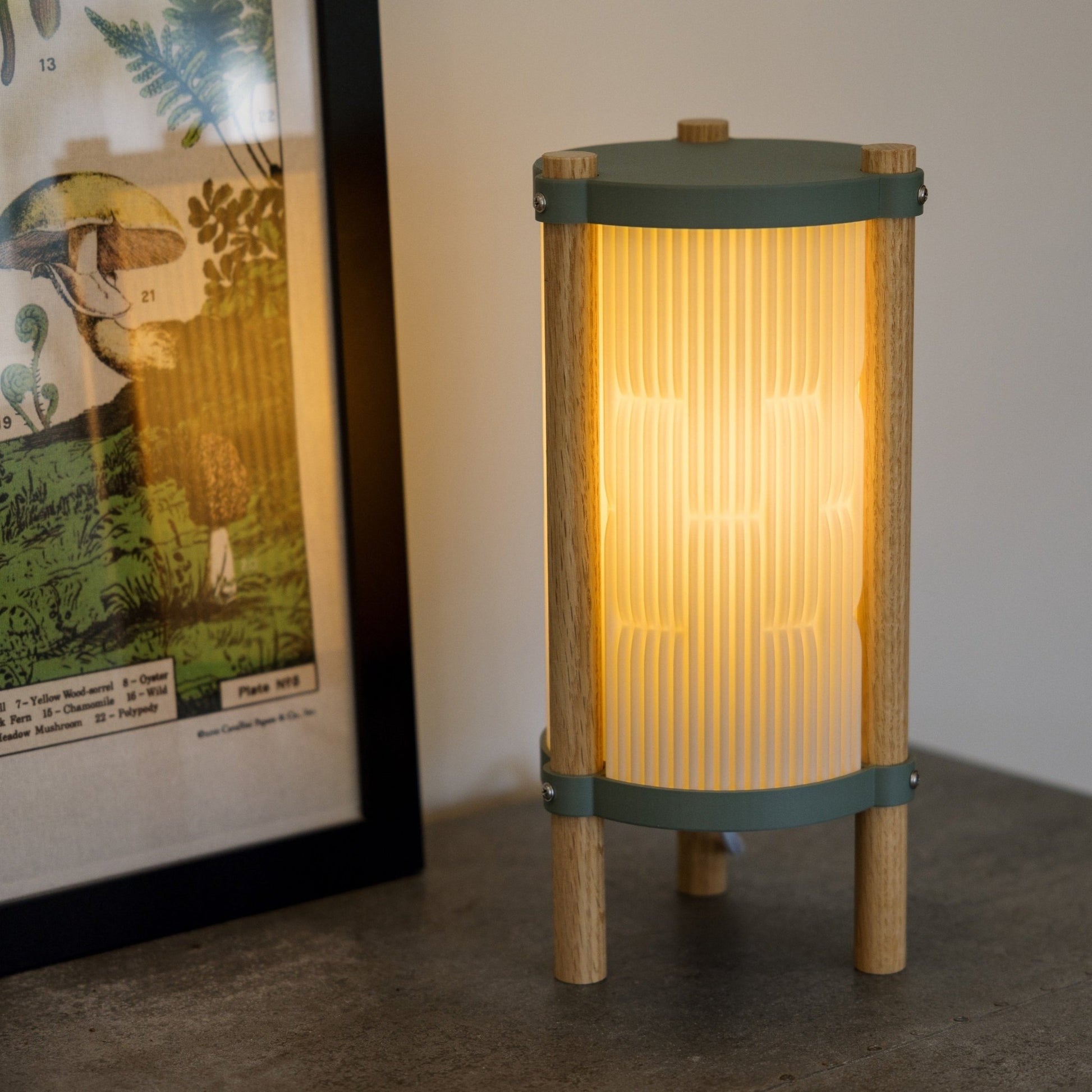 Toro Table Lamp - mosswell.us