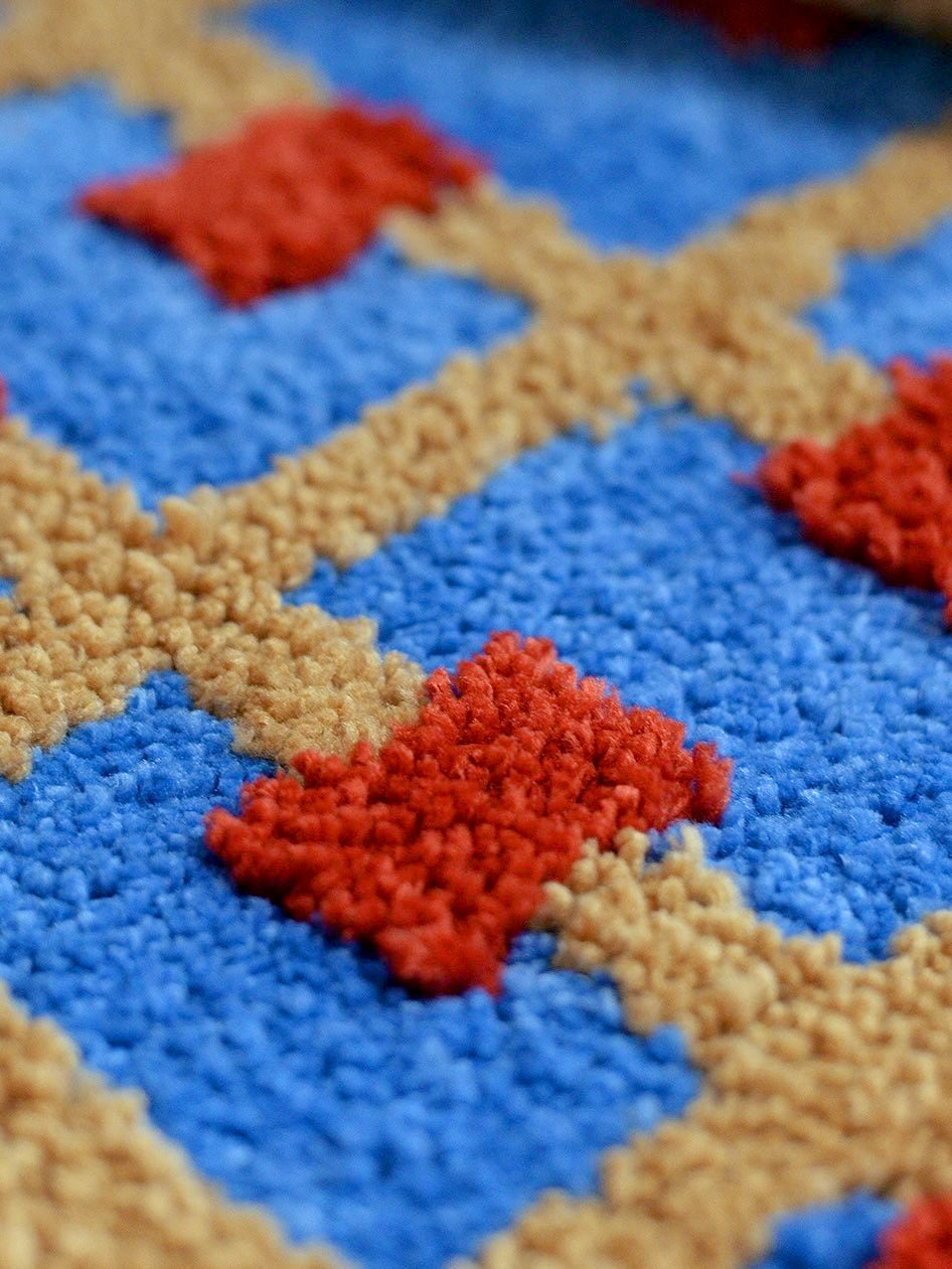 Ultra Soft Whimsical Dopamine Checker Bath Rug, Absorbent Mat
