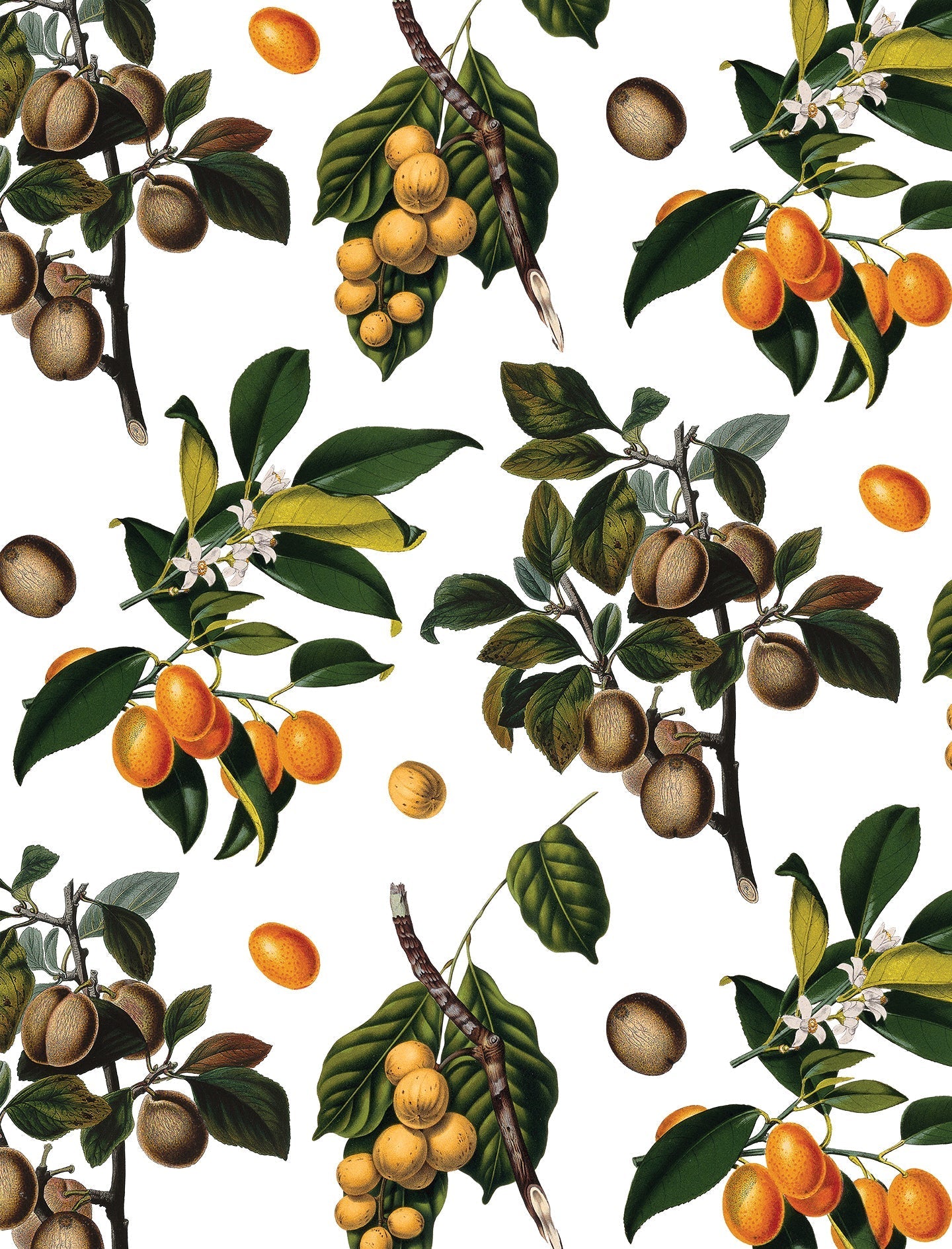 Vintage Orchard Wallpaper, white - mosswell.us