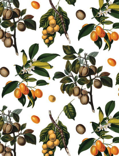 Vintage Orchard Wallpaper, white - mosswell.us