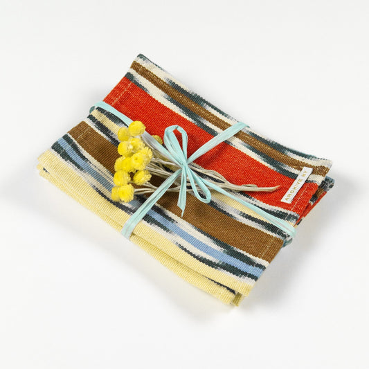 Xela Multi Jaspe Cocktail Napkins Set of 4 - mosswell.us